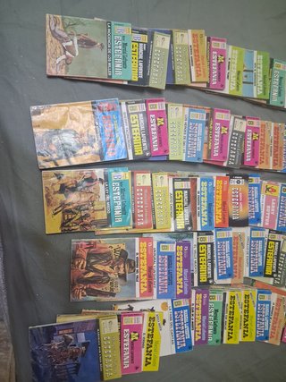 Lote 100 novelas del oeste M.L.ESTEFANIA