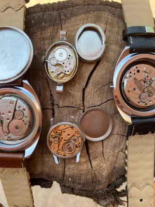 Orologi Vintage Collezione