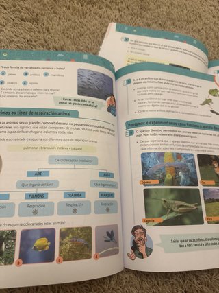 Ciencias da Natureza 5, Primaria, Doutra manera