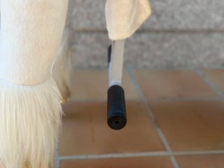Caballo de juguete