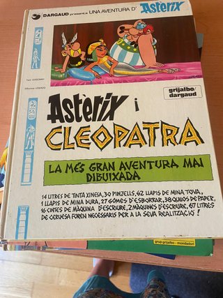 Lote de 30 cómics de Astérix y Obélix