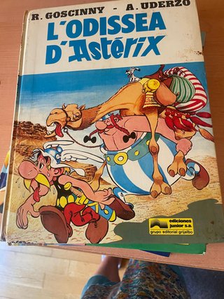 Lote de 30 cómics de Astérix y Obélix