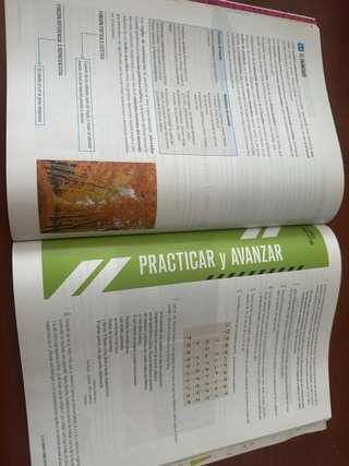Lengua castellana y literatura 1 Secundaria
