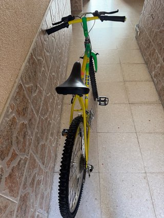 Bicicleta Montaña