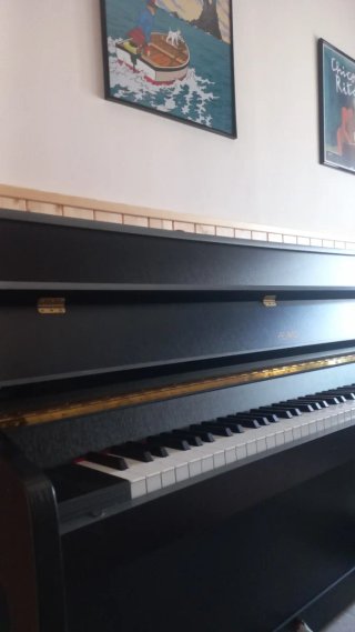 Piano acústico Petrov negro