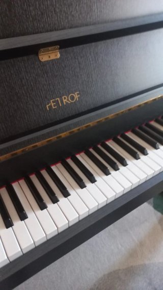 Piano acústico Petrov negro