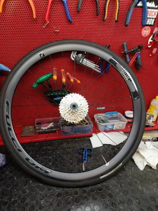 Megamo Pulse Elite 12 SH12 (2024)