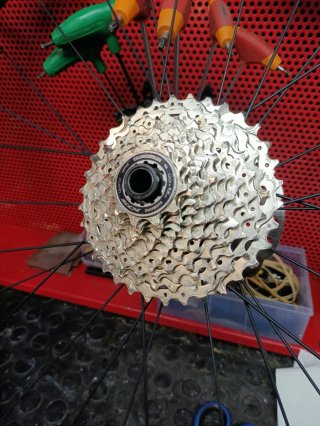 Megamo Pulse Elite 12 SH12 (2024)