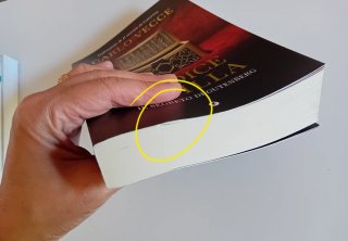 Codice Sibilla.Il segreto di Gutenberg di C.Vecce