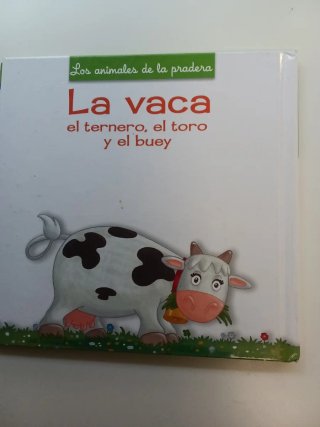 La maga Colasa y el socavón