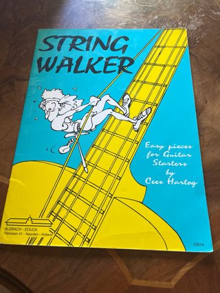 Lote de libros de guitarra para principiantes