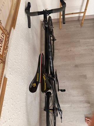 Focus Izalco Race, Carbono, Talla 54, 7kg