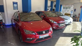 SEAT Leon FR pegatina C de la DGT