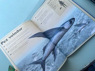 El majestuoso libro de los animales marinos