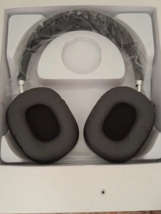 Airpods Max Apple