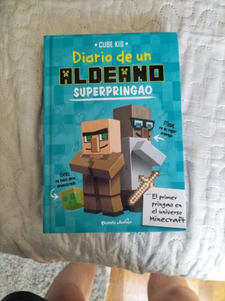 Diario de un aldeano pringrao
