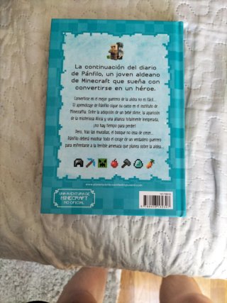 Diario de un aldeano pringrao