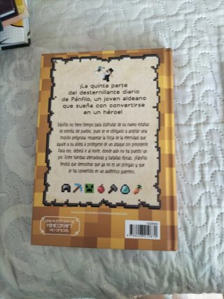 Diario de un aldeano pringrao
