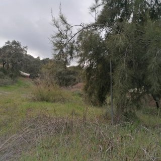 Parcela Urbana Fase I Lagos del Serrano Ronquillo