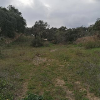Parcela Urbana Fase I Lagos del Serrano Ronquillo