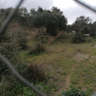 Parcela Urbana Fase I Lagos del Serrano Ronquillo