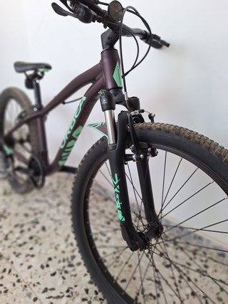 Orbea MTB 24 pulgadas Aluminio Monoplato Seminueva