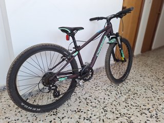 Orbea MTB 24 pulgadas Aluminio Monoplato Seminueva