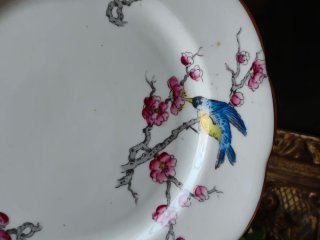 Set 4 piatti dolce Royal Albert