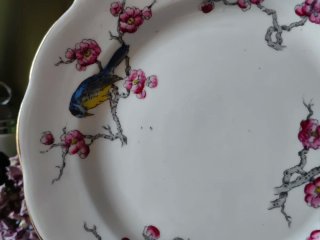 Set 4 piatti dolce Royal Albert