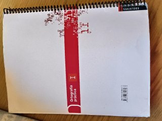 Ortografía práctica