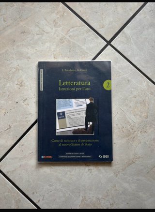 libro letteratura