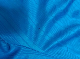 Pantaloncini Sport Point Uomo Blu XL
