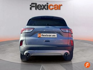 Ford Kuga Trend 1.5 EcoBlue 88kW (120CV)