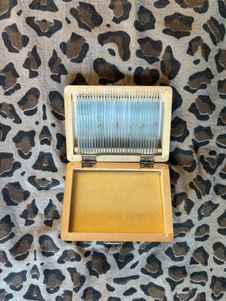 Microscopio Motic serie SFC-100