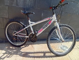 Bicicleta Montaña Freerider 24