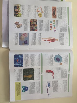 BIOLOGIA Y GEOLOGIA ASTURIAS 3 ESO CONSTRUYENDO...