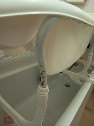 Bañera bebé