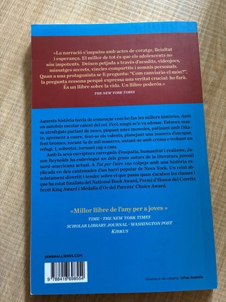 Tot per l'aire una història contada en deu cant...