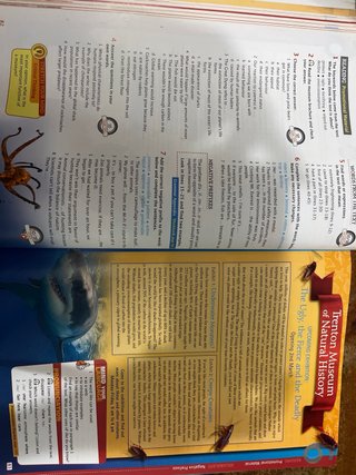 Mindset 1 Bachillerato. Students's book