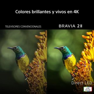 TV Sony 55" Bravia 2 II 4K Dolby Visión 2026
