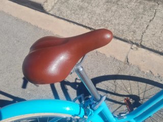 Bicicleta de paseo