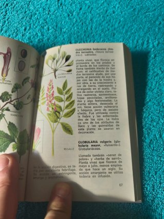 Libro plantas medicinales