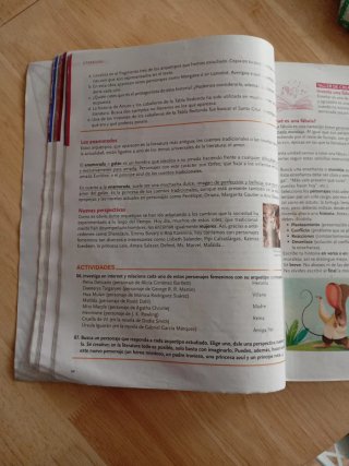 Lengua Castellana y Literatura, 2 ESO, Proyecto...