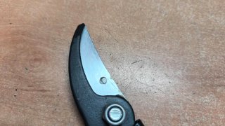 Tijeras para podar 200mm alta calidad