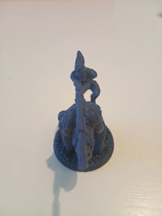 Krootox Rider Warhammer 40K