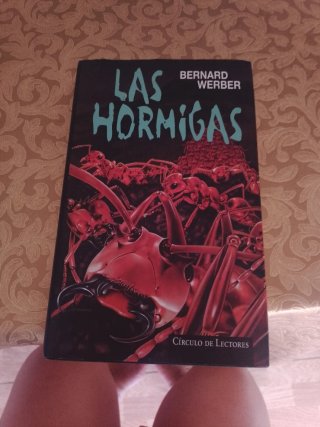 Las hormigas