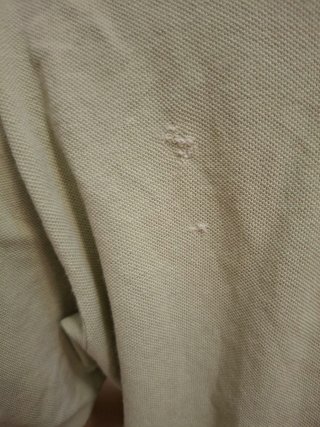 Polo Lacoste Verde