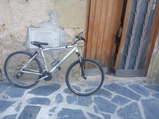Bicicleta de montaña plateada