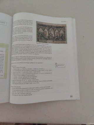 Término, Lengua, Bachillerato
