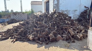 LEÑA SECA PARA GASTAR